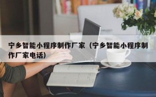 渑池宁乡智能小程序制作厂家（宁乡智能小程序制作厂家电话）